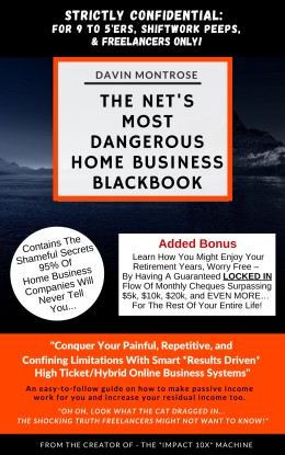 The Net's Most Dangerous Home Business Blackbook